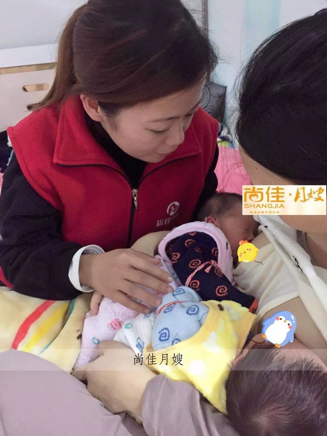 尚佳專業(yè)月嫂丨初生嬰兒需要吃多少？